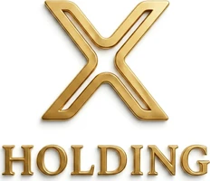 X Holding logo